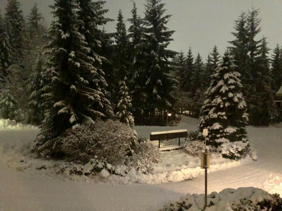 Powderhorn By Whistler Blackcomb Vacation Rentals 外观 照片